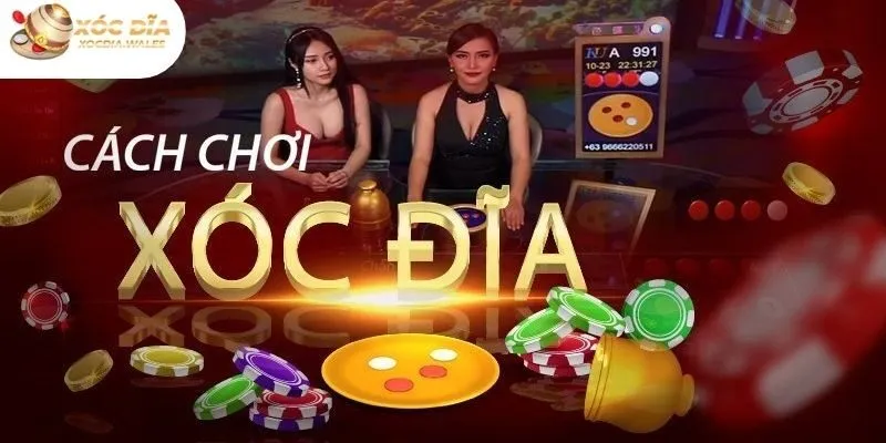 Quy trình chơi xóc đĩa Sunwin