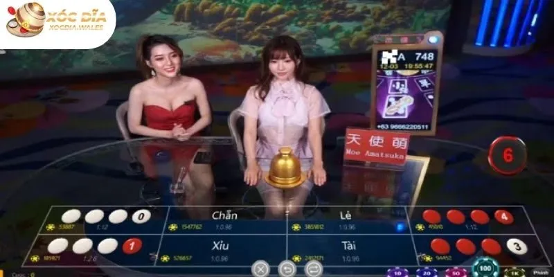 Dealer trong game xóc đĩa có tầm quan trọng rất lớn