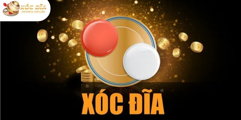 Xocdia.wales cam kết cung cấp và chia sẻ thông tin chính xác