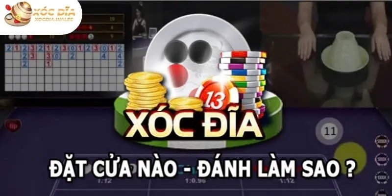 Trang Xocdia.wales chia sẻ luật chơi xóc đĩa mới nhất cho thành viên