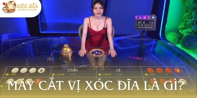 Máy cắt vị xóc đĩa là gì? Xocdia.wales chia sẻ công cụ