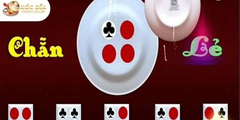 Thuật ngữ xóc đĩa online với cửa cược chẵn - lẻ cho người chơi