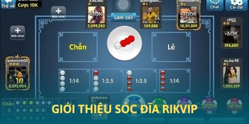 Tổng quan về bộ môn xóc đĩa Rikvip